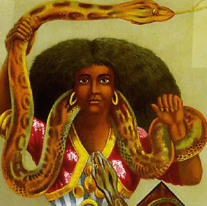 Mermaid, african mermaid with snake around her shoulders